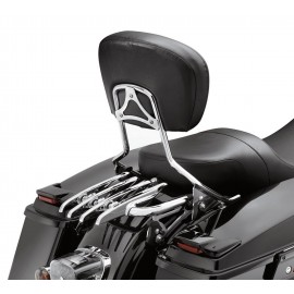 PORTE BAGAGES DUO STEALTH HARLEY DAVIDSON