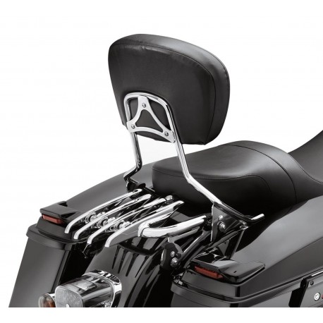 PORTE BAGAGES DUO STEALTH HARLEY DAVIDSON