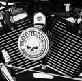 Cache Avertisseur Willie G Skull Harley Davidson