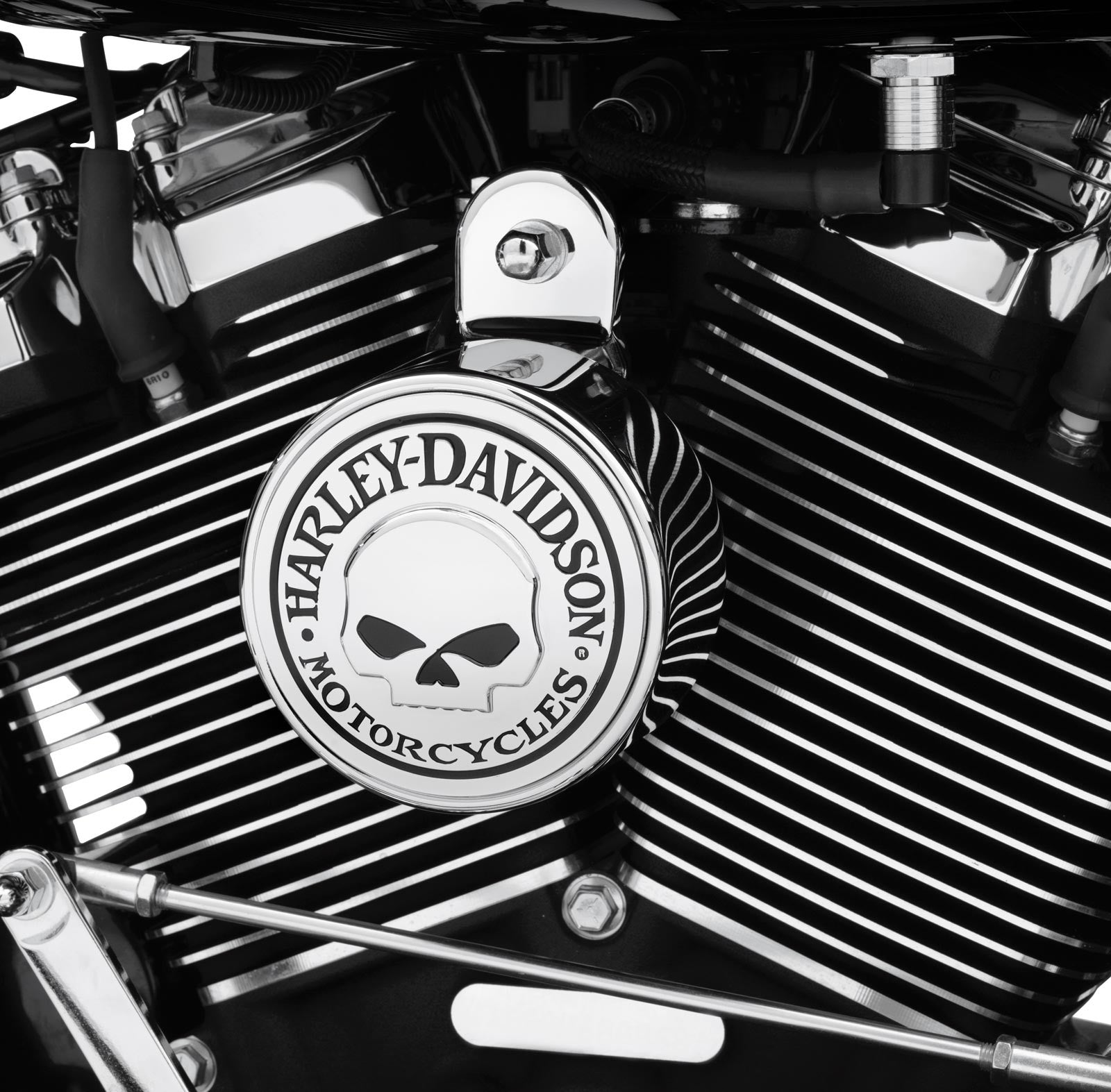Cache Avertisseur Willie G Skull Harley Davidson