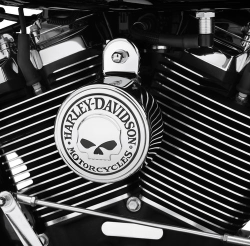 Cache Avertisseur Willie G Skull Harley Davidson