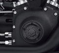 Carter DE Distribution Willie G Skull Harley Davidson