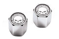 Bouchons Valve Logo Skull Harley Davidson