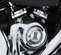 Carter DE Distribution Skull 1 Harley-davidson