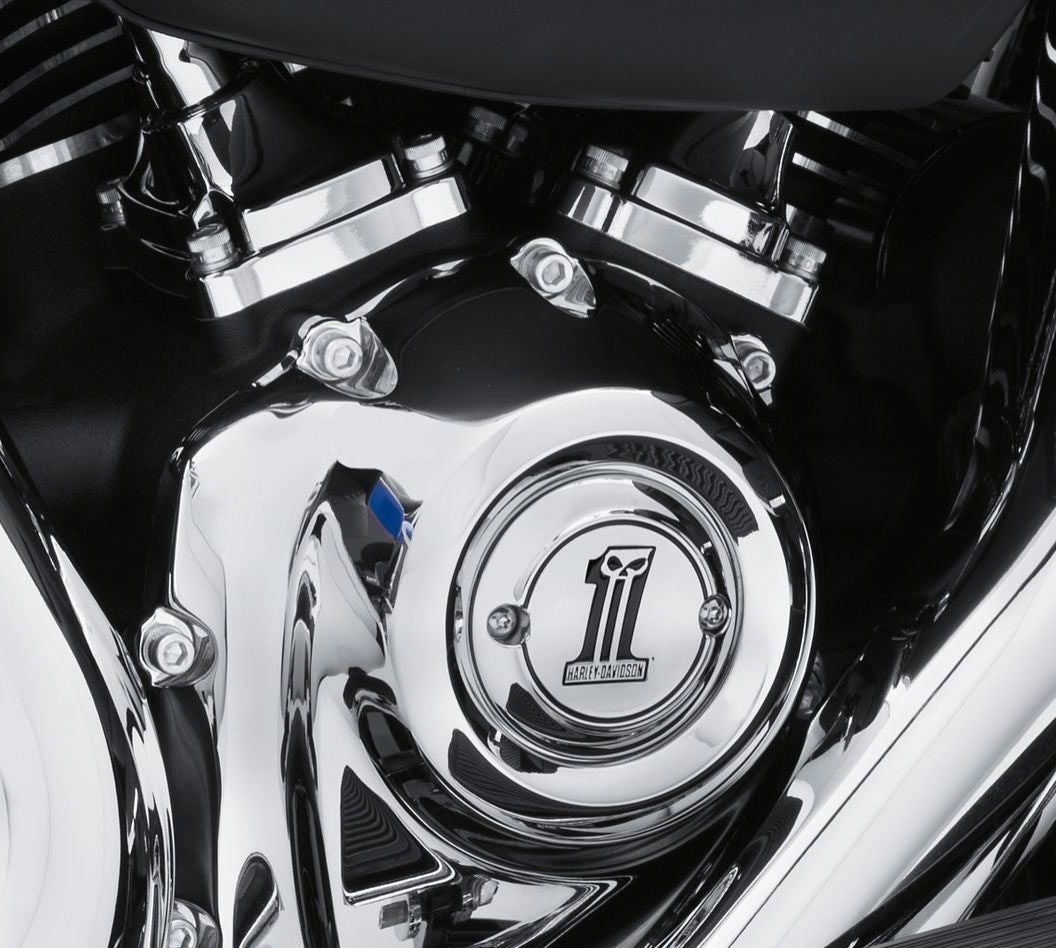Carter DE Distribution Skull 1 Harley-davidson