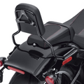 Montant Standard Sissy BAR Holdfast Harley Davidson