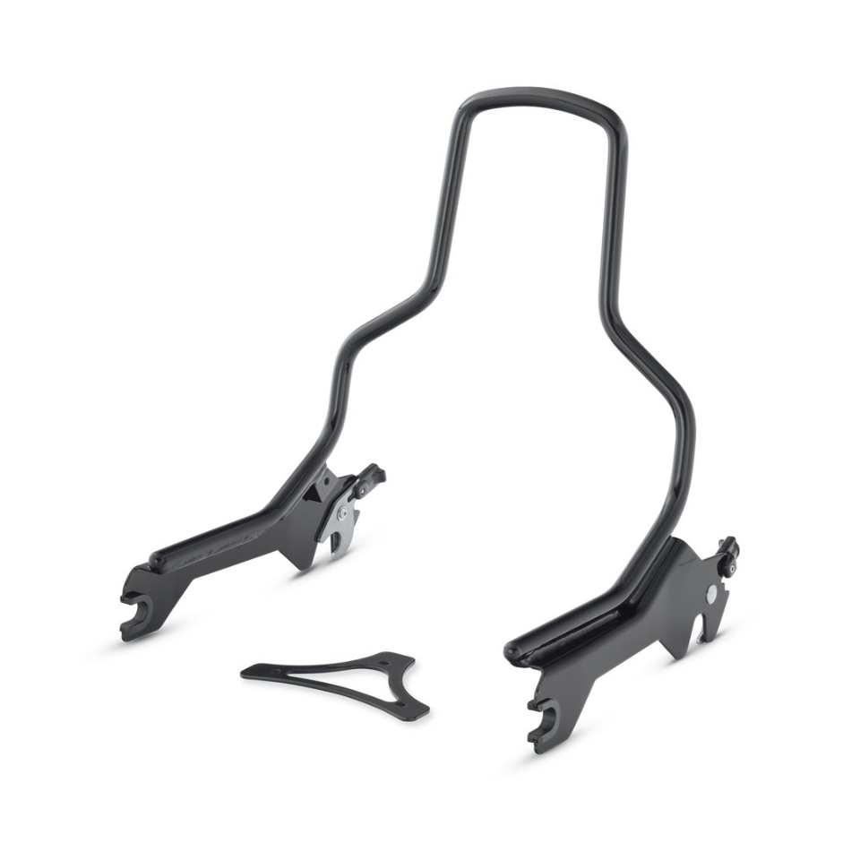 Montant Standard Sissy BAR Holdfast Harley Davidson