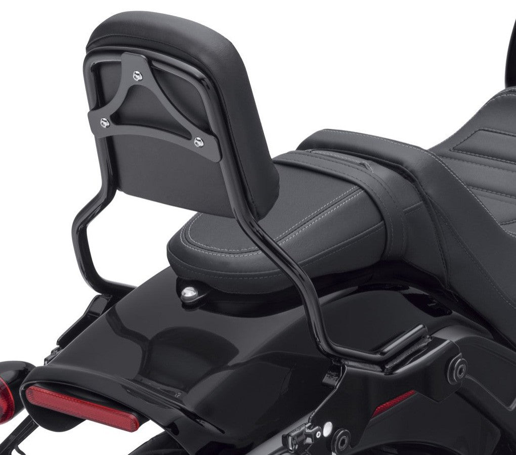 Montant Standard Sissy BAR Holdfast Harley Davidson