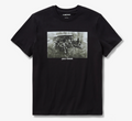 T-shirt Archive Photo
